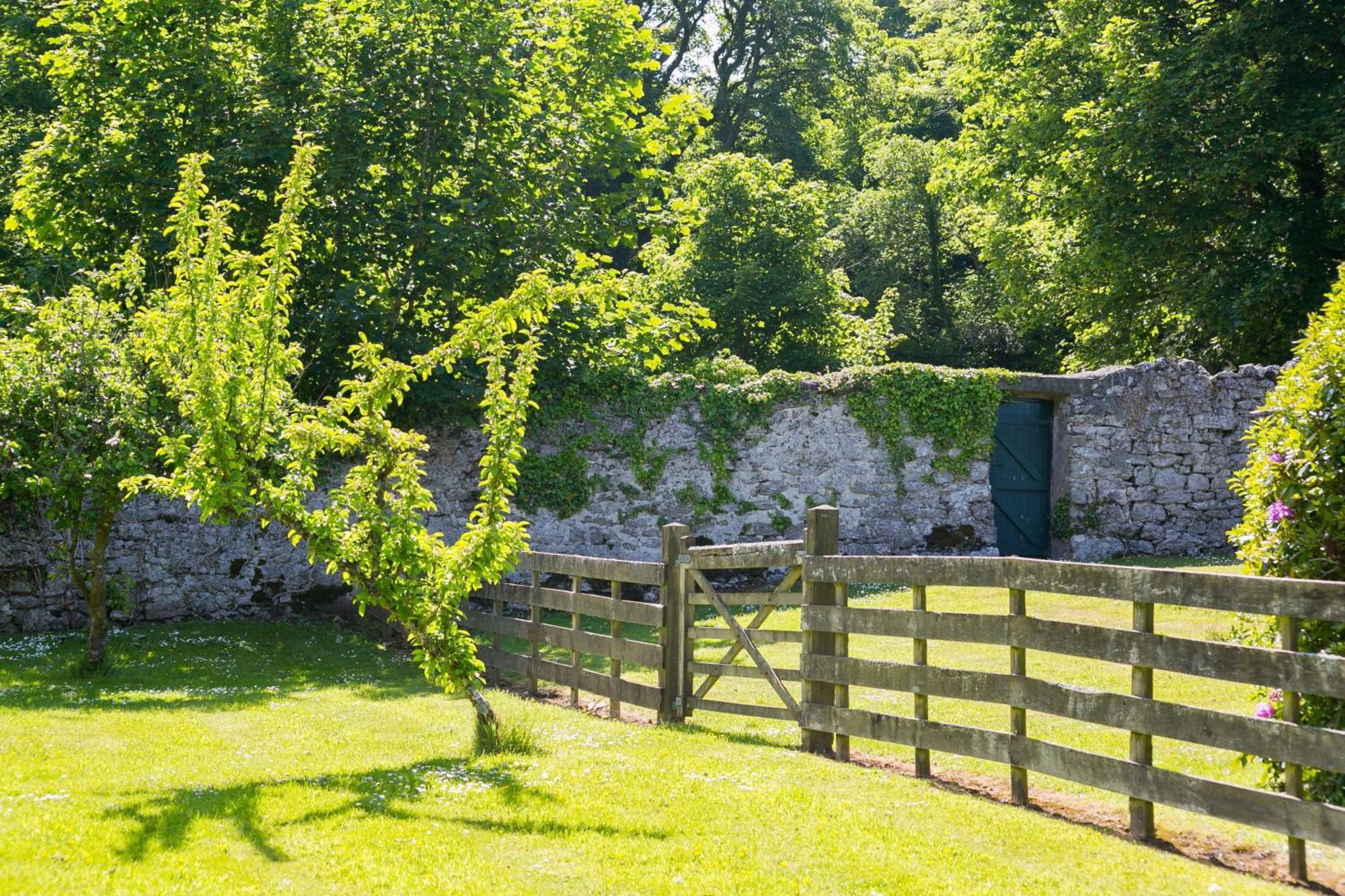 Plas Lligwy Cottage โมเอลเฟร ภายนอก รูปภาพ